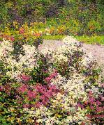 Hugh Henry Breckenridge White Phlox oil on canvas